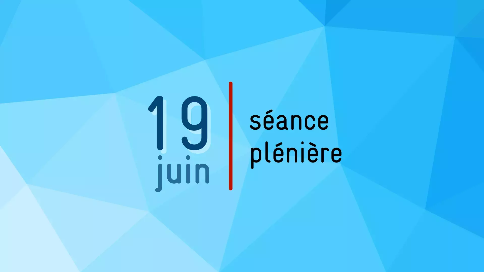 Vignette annonçant la prochaine séance plénière du CNS le 19 juin 2025